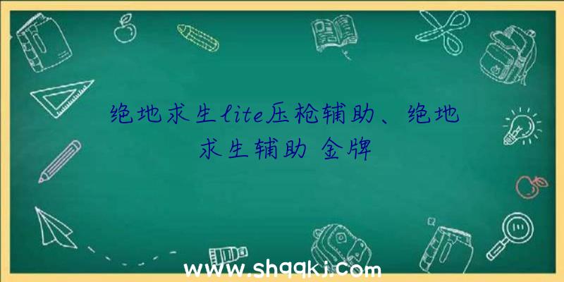 绝地求生lite压枪辅助、绝地求生辅助